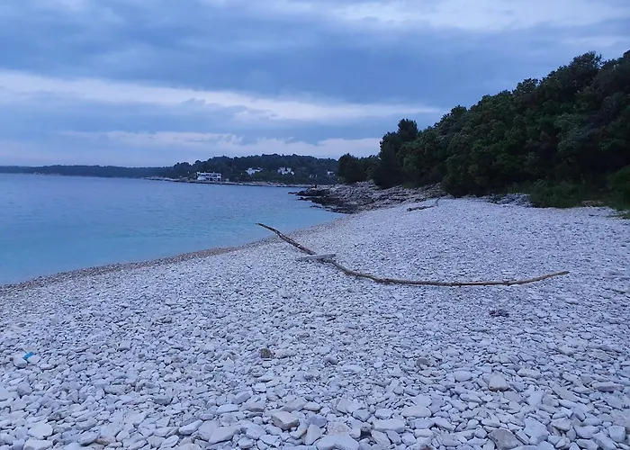 Πλωτό κατάλυμα Floating House Sena